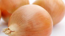 Cuộc sống như… củ hành?